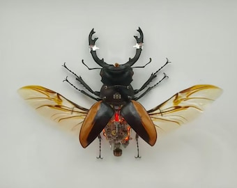 スチームパンク サイボーグ メカニカル ビートル 昆虫 虫 キネティック