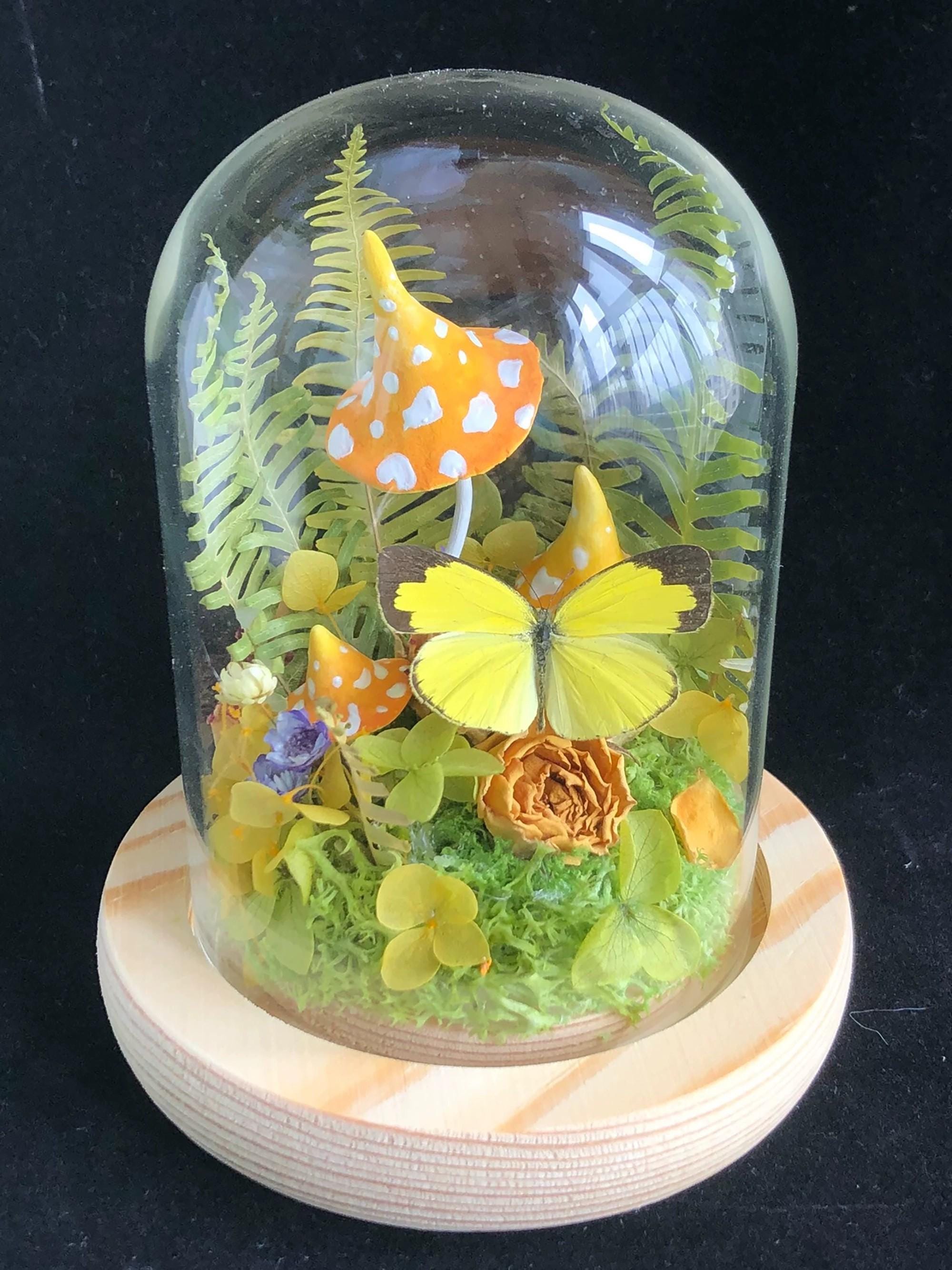 剥製＆珍品 - Etsy 日本