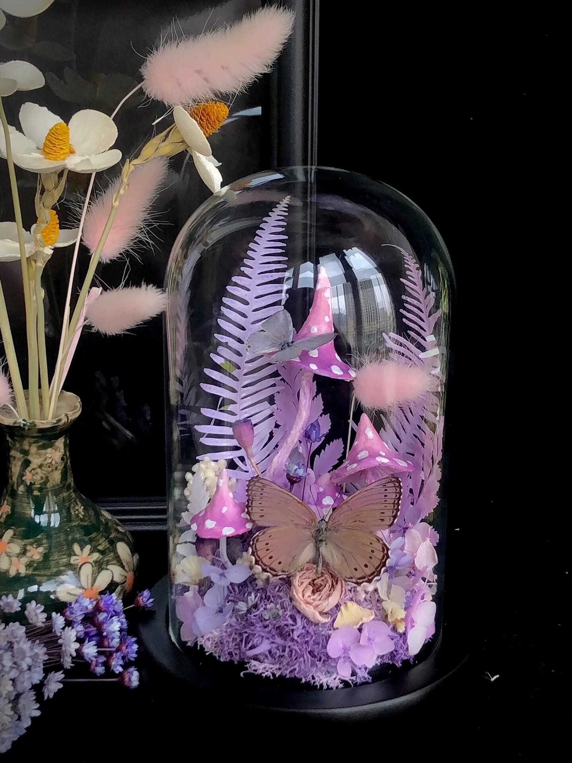 剥製＆珍品 - Etsy 日本