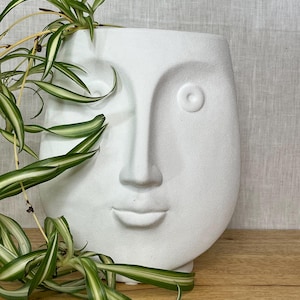 May include: A matte white ceramic planter shaped like a human face with stylized features including a prominent nose, defined lips, and circular eyes. A green and white variegated spider plant grows from the top opening of the vessel.