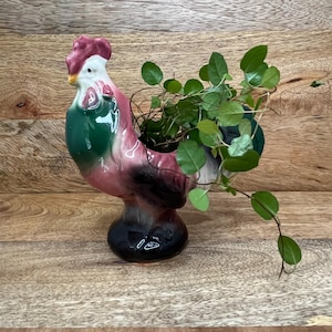May include: A ceramic rooster planter in shades of pink, green, and black, with a white beak and comb. The planter is filled with green leafy vines. The rooster is perched on a black base, set against a wooden background.