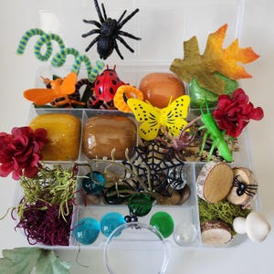 May include: A clear plastic organizer box filled with assorted nature-themed items including a black spider, a red ladybug, a yellow butterfly, a green grasshopper, orange and yellow spheres, artificial flowers, wood slices, and glass marbles.