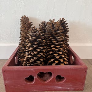 Op de afbeelding: Een rood geschilderde houten bak gevuld met bruine dennenappels. De bak heeft hartvormige uitsparingen aan de zijkant. De dennenappels zijn een natuurlijk, gestructureerd element.