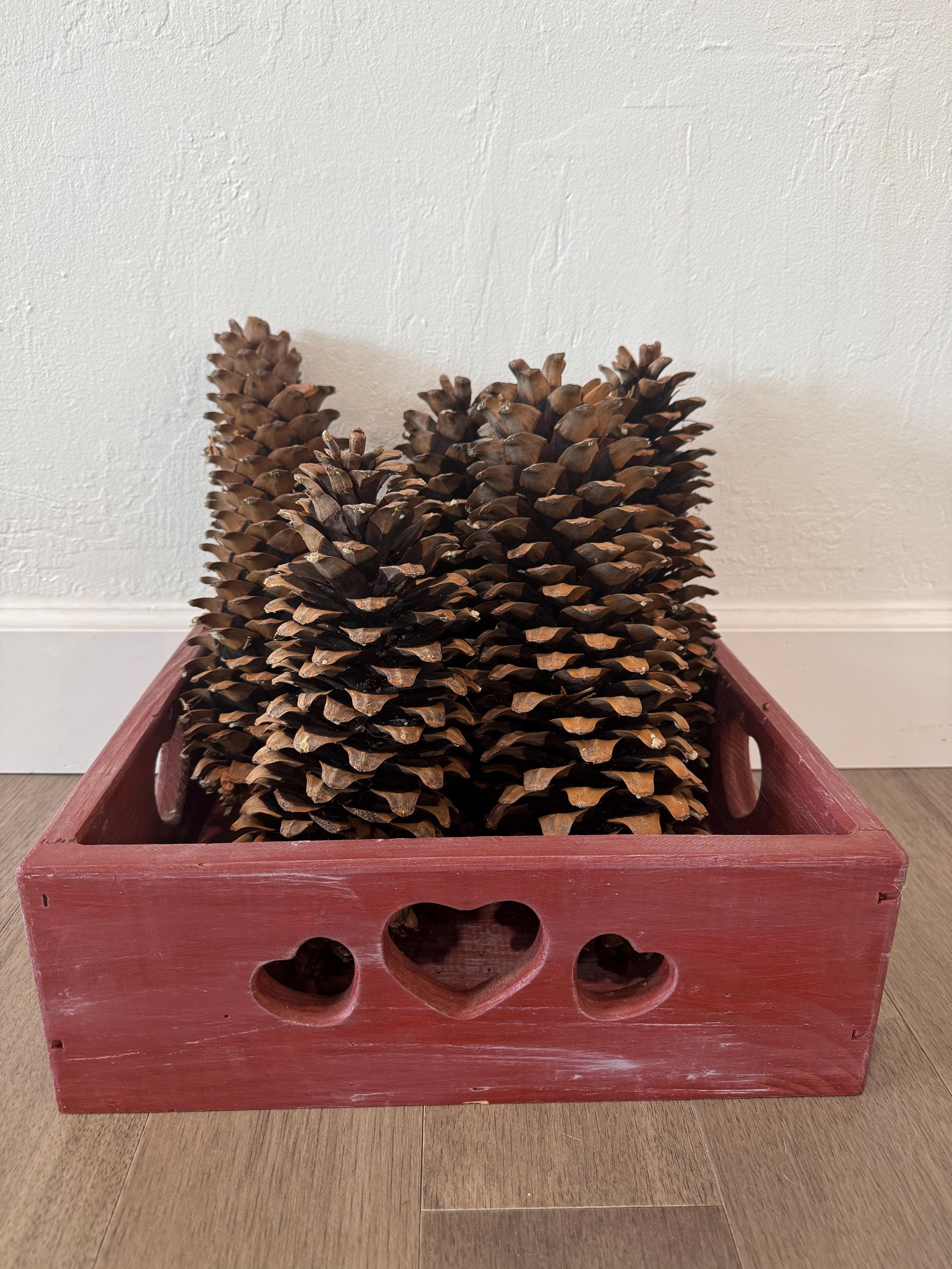 Giant pine cone - Etsy 日本