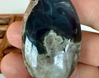 Volcanic Agate Palm Stone