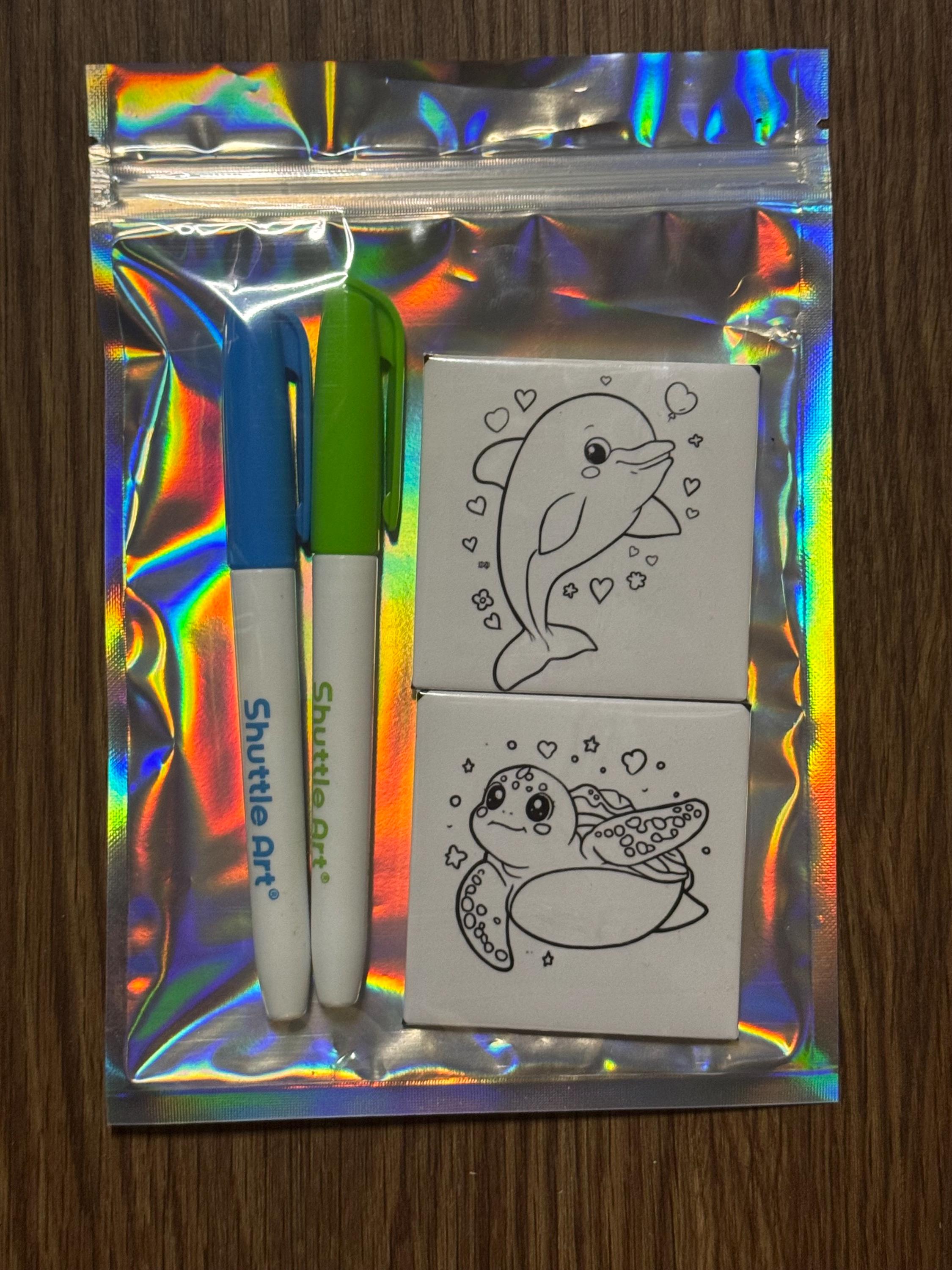 Color, Erase, Repeat! Reusable Coloring Magnet Set - Etsy