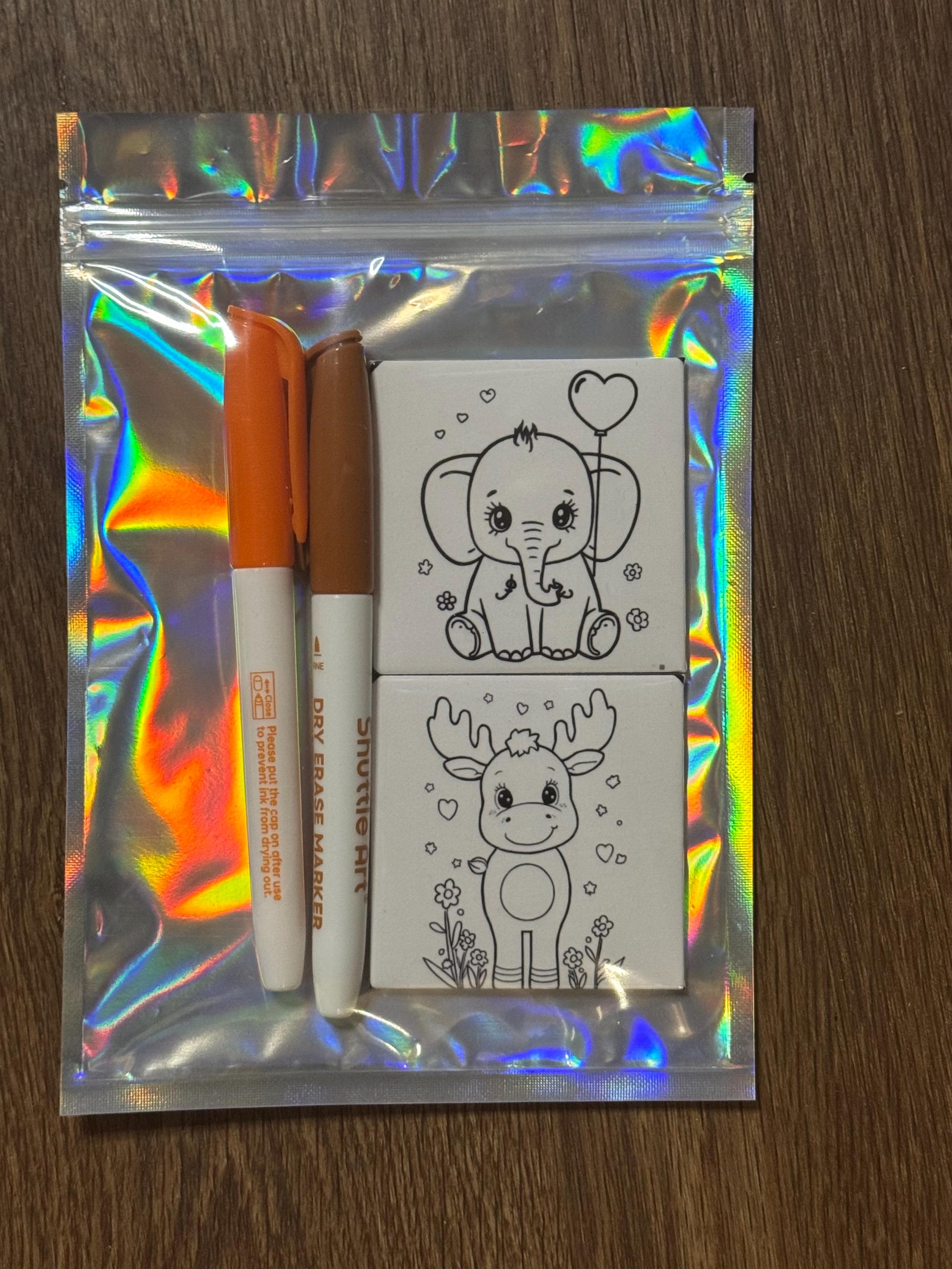 Color, Erase, Repeat! Reusable Coloring Magnet Set - Etsy