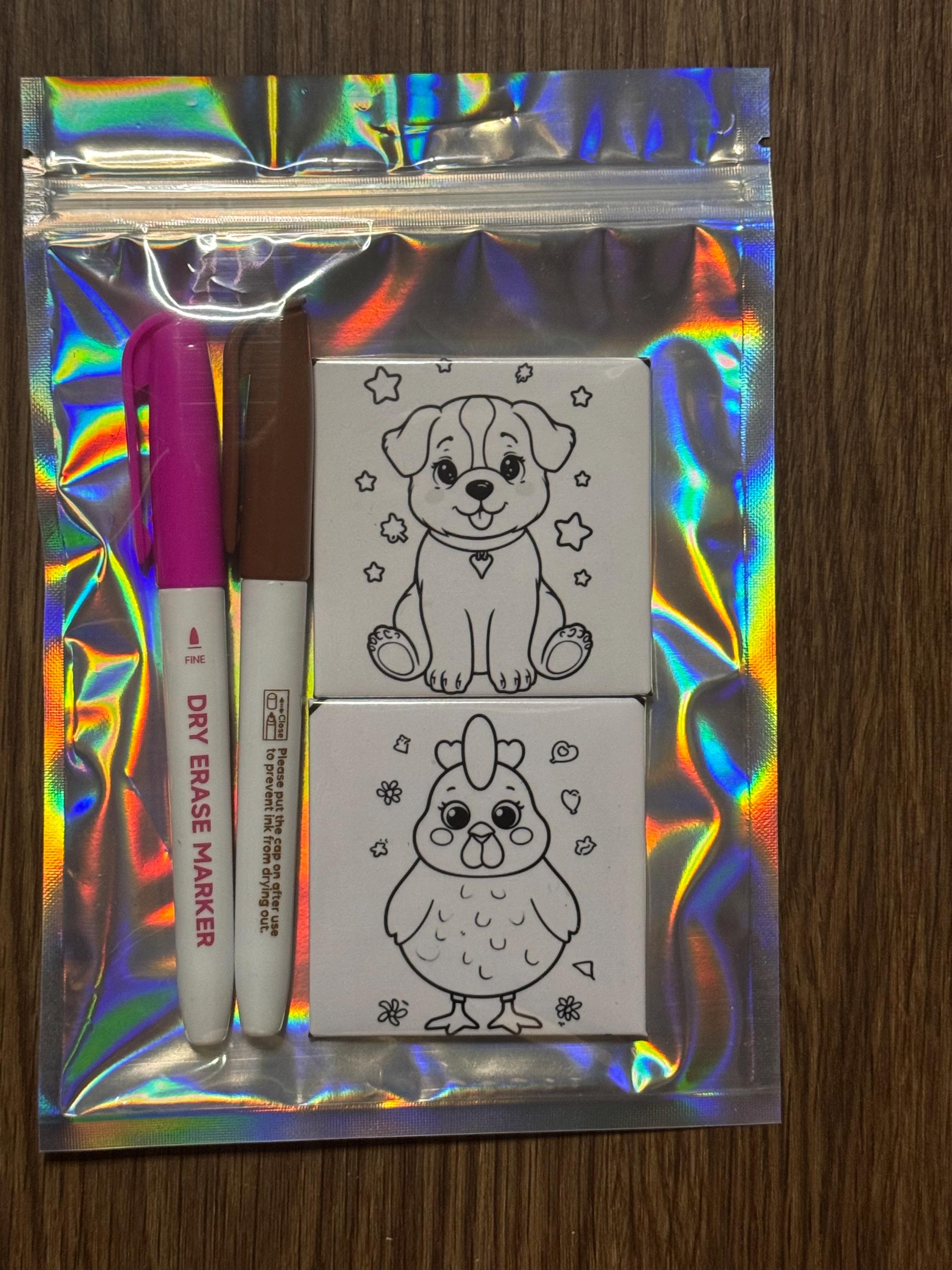 Color, Erase, Repeat! Reusable Coloring Magnet Set - Etsy