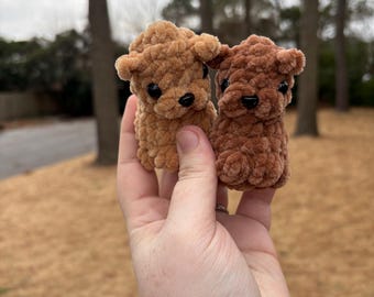 May include: Two small, handmade crochet dog toys. One is light brown, the other is dark brown. Both have black eyes and noses. The toys are held in a hand against a blurred outdoor background.