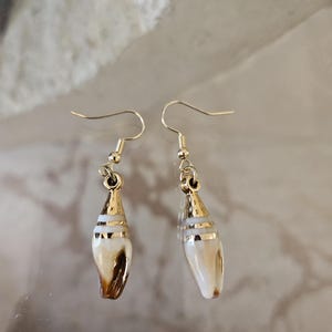 May include: A pair of dangle earrings with a seashell design. The earrings have gold-coloured metal accents at the top and a band around the middle. The seashell portion is white and brown, with a hook closure.