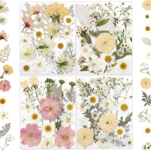 May include: Four rectangular cards showcasing dried flowers in various arrangements. The flowers include daisies, roses, and other delicate blooms in shades of white, yellow, and pink. The cards are ideal for crafting or decorative purposes.