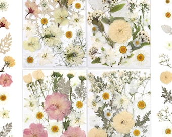 80 Pcs Dried Pressed Flowers, Natural DIY Craft Embellishments