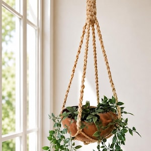 Pode incluir: Um vaso suspenso para plantas feito de cerâmica cor de terracota, suspenso por um suporte de macramê de juta tecida. O vaso é preenchido com plantas verdes folhosas, com algumas folhas em cascata. O fundo inclui uma janela e uma parede branca.