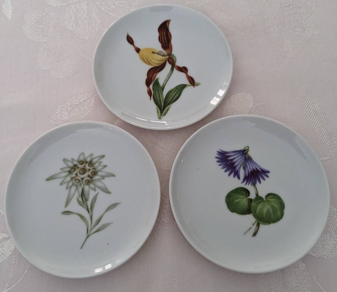 Alboth & Kaiser Porcelain Plates/ Alpine Flowers/ Edelweiss Etsy