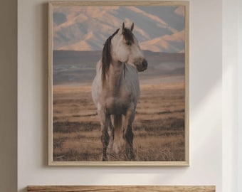 Gracia Salvaje - Impresión de Caballo Onaqui / Arte Mural del Desierto de Utah