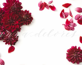 Styled Stock Photo, Flower Stock Product Photography, Floral Wreath Garland, Chrysanthemum, Purple Mums, Flower Border, Flower Stock Photo