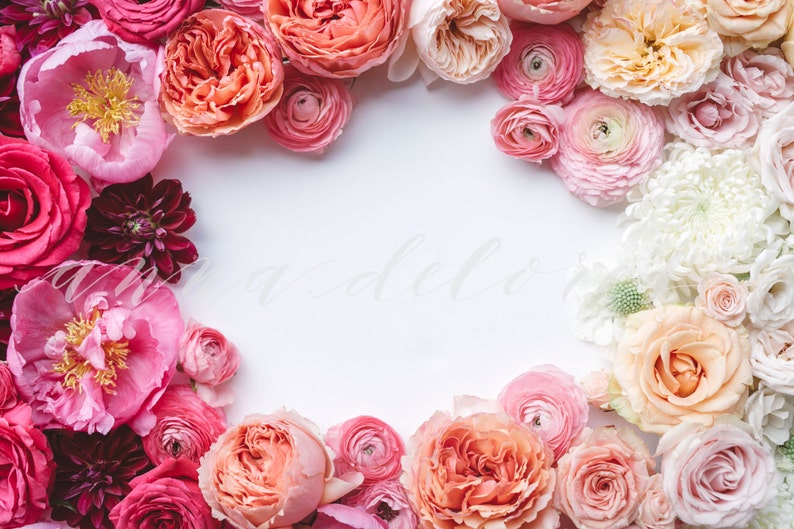 Styled Stock Photo, Flower Stock Product Photography, Floral Wreath Garland, Peony, Ranunculus, Flower Border, Flowers Custom Stock Photos image 1
