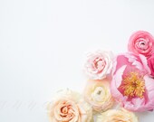 Styled Stock Photo, Flower Stock Product Photography, Minimal Florals Photo, Peony, Ranunculus, Flower Border, Flower Custom Stock Photo