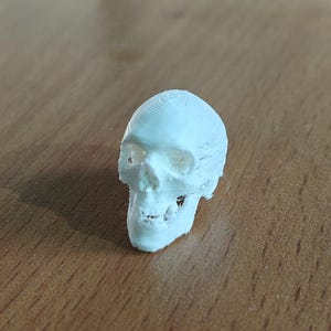 Puede incluir: Una pequeña calavera blanca impresa en 3D. La calavera tiene cuencas de los ojos visibles, una cavidad nasal y una mandíbula detallada. La superficie muestra la textura en capas del proceso de impresión. La calavera es un objeto decorativo.