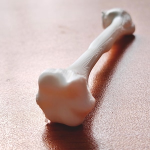 Puede incluir: Objeto decorativo blanco con forma de hueso y superficie texturizada. El objeto tiene un extremo redondeado y un cuerpo largo y delgado con patrones detallados similares a vetas de madera. Probablemente es una pieza decorativa o un acento único para el hogar.