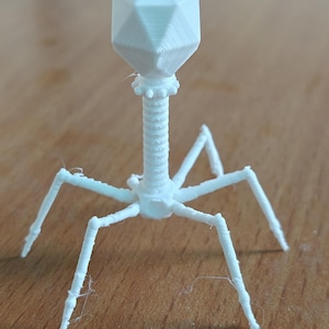 May include: A white 3D-printed bacteriophage model. The model features a geometric head, a long, spiraled neck, and six legs. The head is a multi-faceted shape. The legs are thin and angled, giving the model a spider-like appearance.