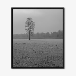 Puede incluir: Una impresión de arte mural enmarcada en blanco y negro que muestra un árbol solitario sin hojas en el centro de un vasto campo cubierto de escarcha bajo un cielo nublado, con una densa línea de bosque visible al fondo.