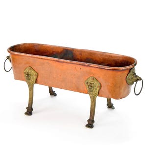 Può includere: Una fioriera rettangolare in rame con dettagli a testa di leone in ottone e manici ad anello. La fioriera è sostenuta da quattro gambe in ottone. Il rame ha una calda tonalità marrone-rossastra.