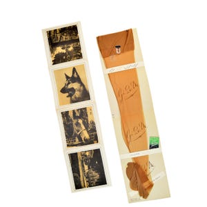 Puede incluir: Medias de seda vintage en su embalaje original. Las medias son de color beige claro con el nombre de la marca "Gio. De" impreso en la pierna. El embalaje incluye una serie de pequeñas fotografías en blanco y negro.