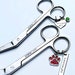 see more listings in the Stethoscope ID Tags/Pins section