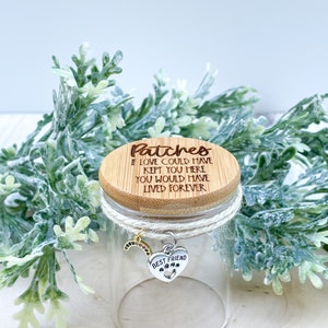 Pet Fur Keepsake Jar - Pet Memorial Jar - Pet Cremation Jar - Pet Remembrance Jar - Loss of Pet Gift - Rainbow Bridge Gift