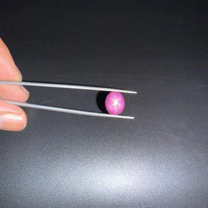 May include: A vibrant, oval-shaped star ruby gemstone featuring a distinct six-rayed star pattern across its polished, deep pink surface. The gemstone is held securely between the tips of a pair of thin, silver-toned metal tweezers.