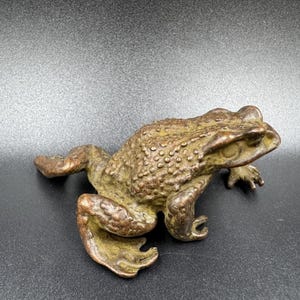 Op de afbeelding: Een bronzen kikkerbeeldje met een textuuroppervlak. De kikker bevindt zich in een rustpositie, met de poten licht gebogen. Het beeldje heeft een gedetailleerd ontwerp, met zichtbare bobbels en ribbels op de huid.