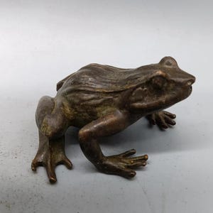 Peut inclure: Figurine de grenouille en bronze avec une texture détaillée et un aspect vieilli. La grenouille est en position accroupie, les pattes avant tendues et les pattes arrière pliées. La sculpture a un design naturaliste.