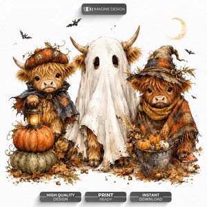 Op de afbeelding: Drie Highland-kalveren in Halloween-kostuums. Eén draagt een geruite hoed en cape met een lantaarn en pompoenen. Eén is gehuld in een wit laken als spook. Eén draagt een gehavende heksenhoed en sjaal bij een emmer met pompoenen.