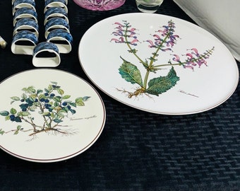 May include: Two white ceramic plates with botanical illustrations. One plate features a blue and green plant with the text "Vaccinium myrtillus". The other plate features a pink and green plant with the text "Salvia pratensis".