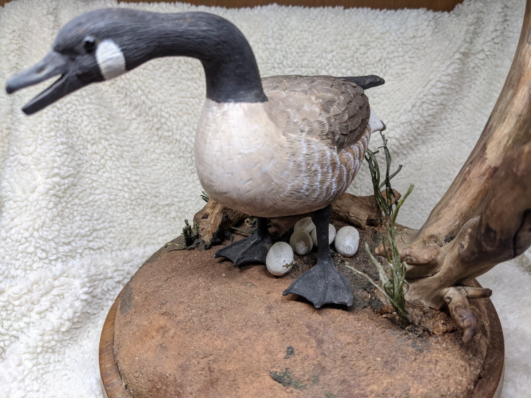 2 Canada Goose Carvings one With Her Eggs and One NEWLY ADDED