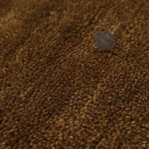 May include: Close-up of a brown, textured rug. The rug has a dense, looped pile, creating a soft, inviting appearance. The color is a warm, earthy brown, suitable for home decor.
