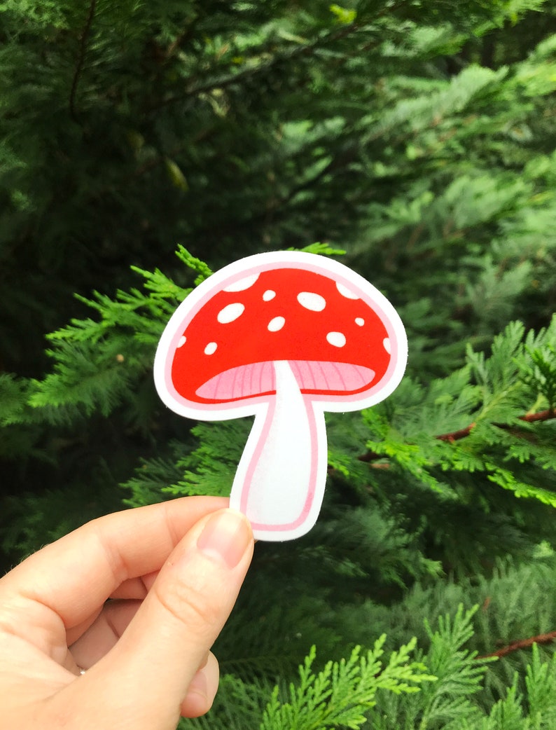 Forest Mushroom Vinyl Sticker image 6