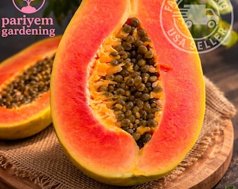 Red Heart Papaya Seeds – 50 Non-GMO, Sweet Tropical Fruit