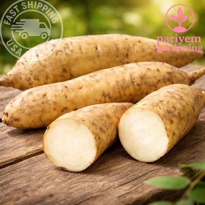 10 White Sweet Potato Slips – Rooted Cuttings Ready to Plant