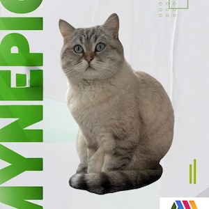 Custom 3D Printed Pet Figure: Personalized Dog or Cat Keepsake