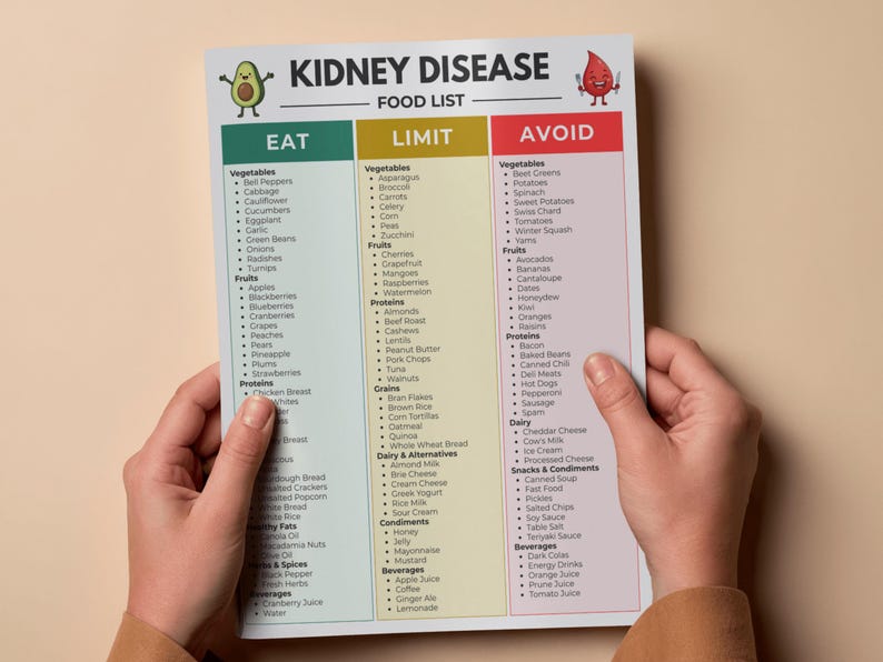 renal food list potassium phosphorus sodium reference, printout held in two hands over a table
