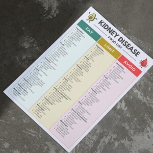 renal diet plan food list quick tips page, printout laid flat on a concrete surface
