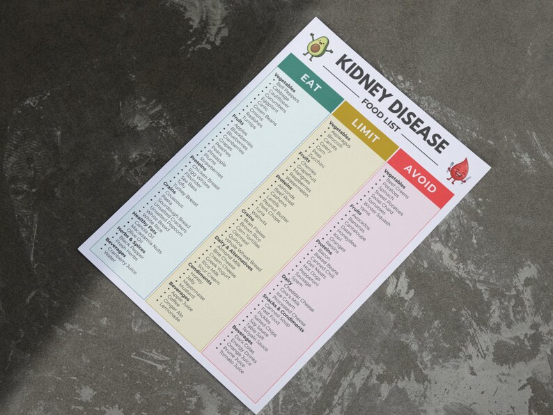 renal diet plan food list quick tips page, printout laid flat on a concrete surface