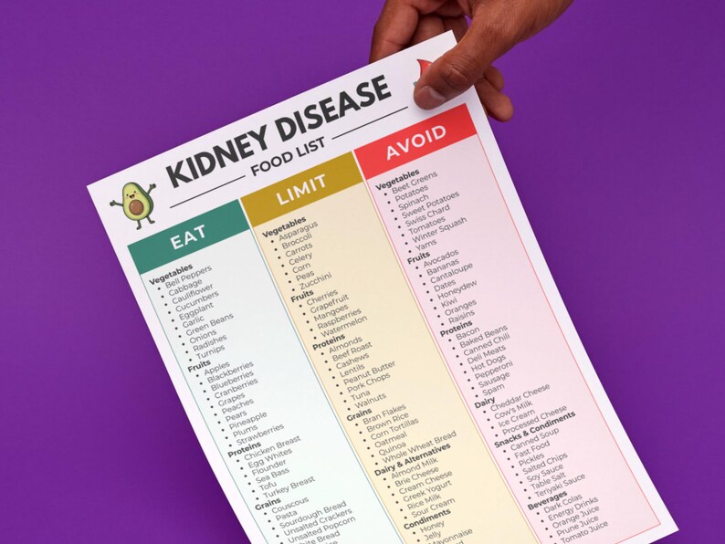 renal diet chart food groups two-page printable, printout held up by one top corner
