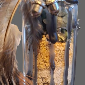 魔女の瓶の強さ/再生