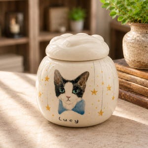 May include: A cream-colored ceramic pet urn with a lid shaped like a paw print. The front features a hand-painted portrait of a black and white cat wearing a blue collar, surrounded by hanging gold stars and the name Lucy written in black ink.