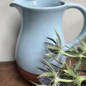 May include: A pale blue ceramic jug with a brown base and a curved handle. The jug is partially obscured by green and purple thistle-like flowers.