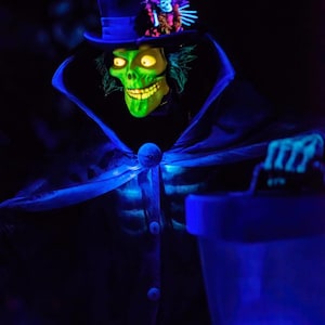 Haunted Mansion HatBox Ghost Disneyland  Art