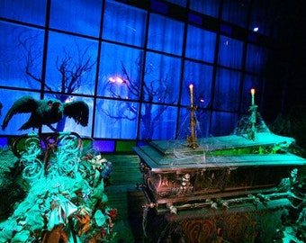 May include: A dark wooden coffin with a green velvet lining sits in a room with a large window. The window is covered in cobwebs and the room is dimly lit. A black bird with red eyes sits on a chair in the foreground.
